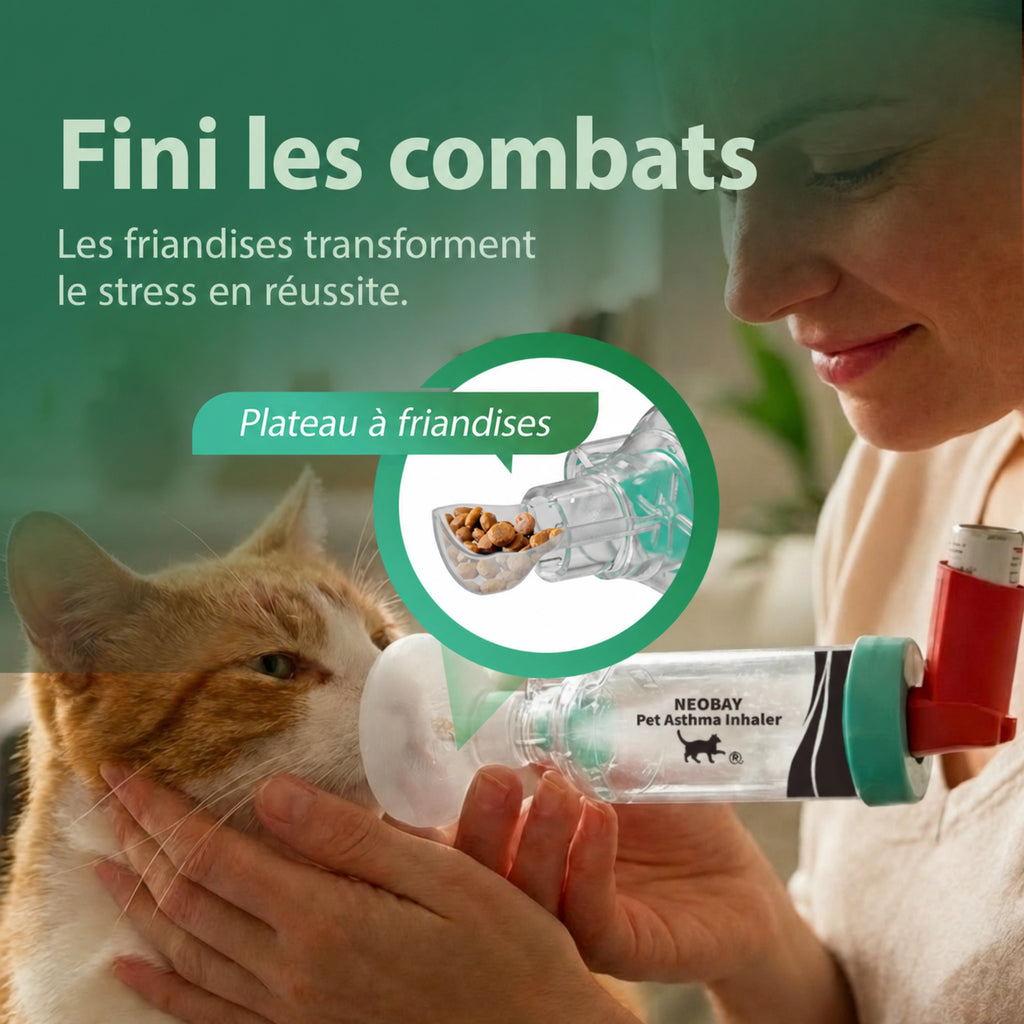 Chambre d’inhalation pour chat | Neobay