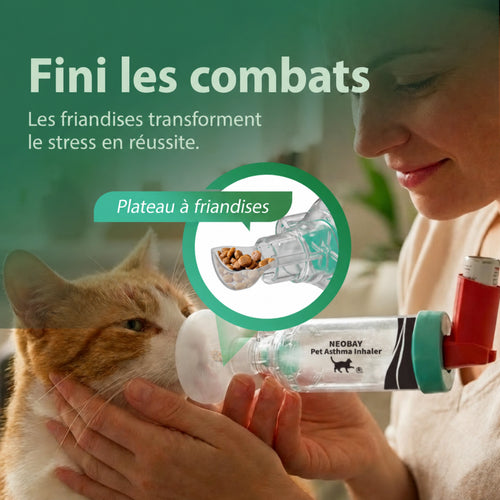 Chambre d’inhalation pour chat | Neobay