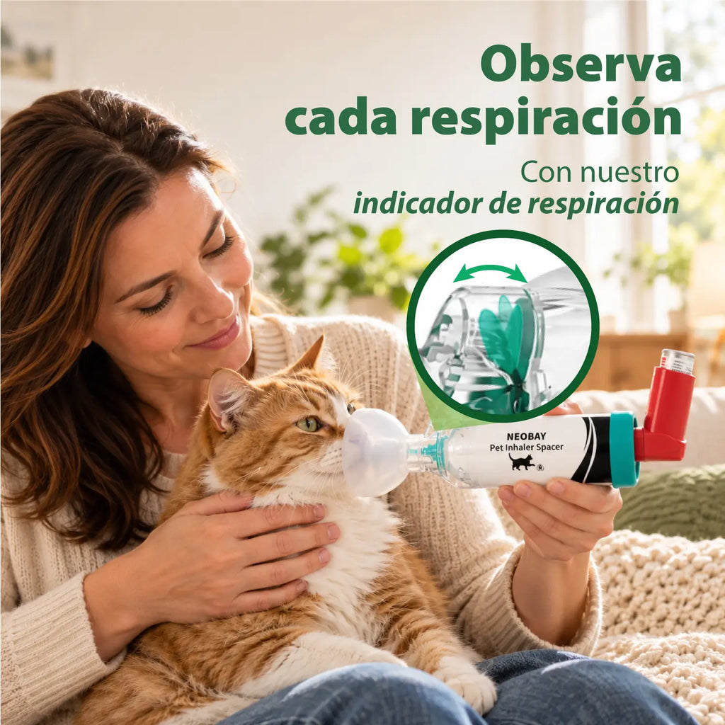 Cámara de inhalación para gatos | Neobay
