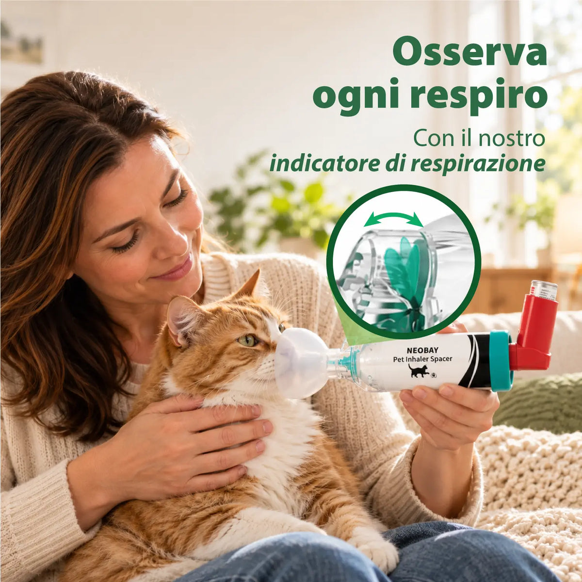 Camera distanziatrice per gatti | Neobay