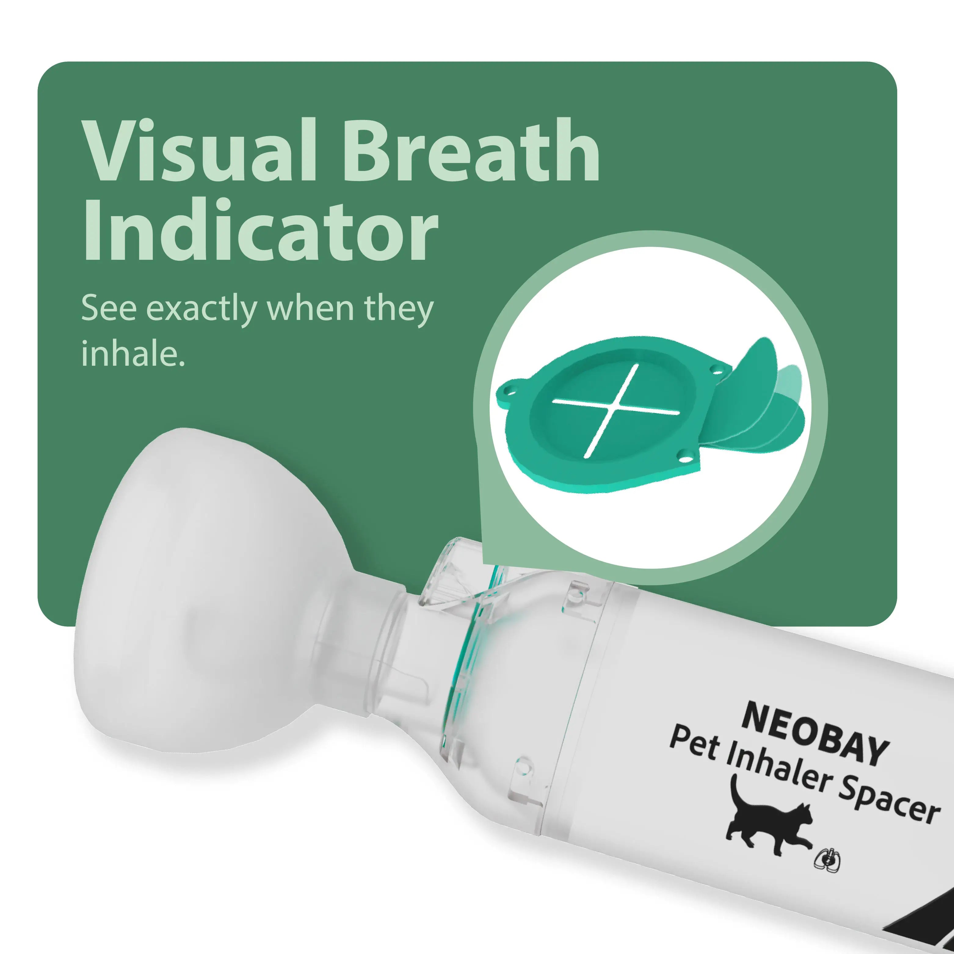 Veterinarian demonstrating cat inhaler spacer technique with feline patient