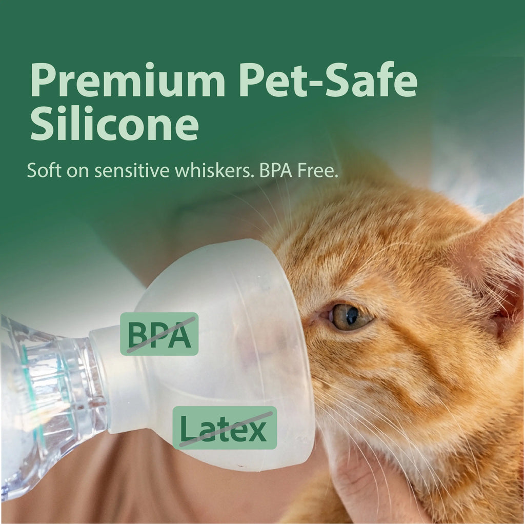 Calm cat at home after a Neobay inhaler spacer routine