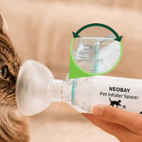 Neobay breath indicator detail